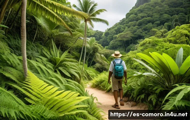 Descubre las maravillas del ecoturismo en Comoras con estos 7 destinos imprescindibles 4 코모로 생태관광 추천지 관련 이미지 2