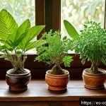 Home 20 코모로 전통 약초와 사용법 - A vibrant, detailed still life of traditional Comoran medicinal plants arranged on a rustic wooden t...