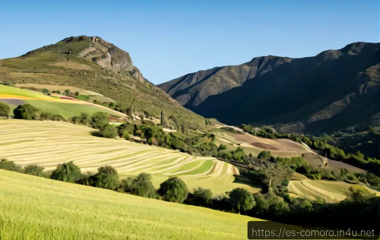 Dónde se cultivan los principales productos agrícolas de Comoras y qué evaluar antes de comprarlos 4 코모로 주요 농산물 생산지 관련 이미지 2